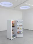 Galerie Lange + Pult – Fabian Boschung