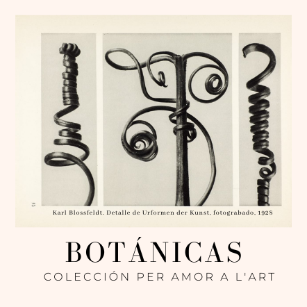 Mathieu Mercier @ Fundació Per Amor a l'Art - Bombas Gens Botánicas. Per Amor a l'Art Collection