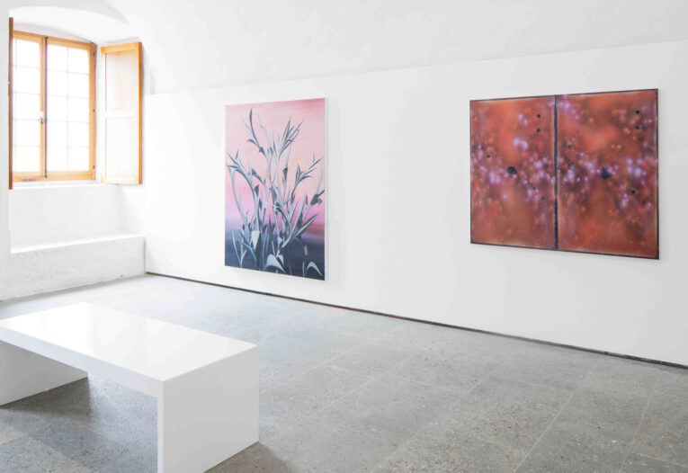 Natacha Donzé @ Centre d'art Contemporain, Yverdon-les-Bains, Switzerland 