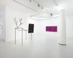 Galerie Lange + Pult – Didier Marcel